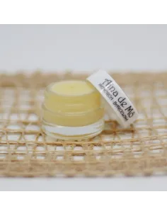 Natural and vegan lip balm - Mini power Absolute kind