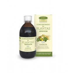 Tisana Energía centro messegue tisaneria y nutrietica