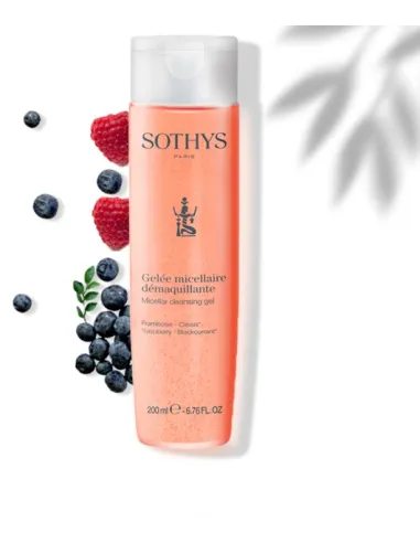 Micellar make-up remover gel