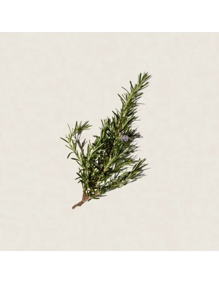 Rosemary Alcohol 150 ml