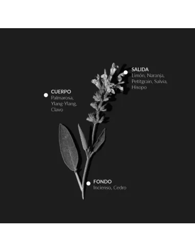 Agua Depurativa de Salvia (100 ml) -...