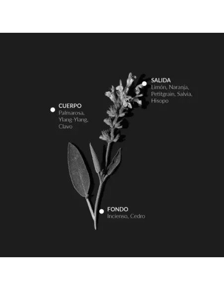 Agua Depurativa de Salvia (100 ml) - Alqvimia
